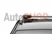 Багажник на крышу LUX ХАНТЕР L53 на рейлинги для Infiniti EX 37 EX 35  2007-