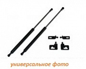 АМОРТИЗАТОРЫ КАПОТА ДЛЯ CITROEN C4 2011- (SHERIFF)
