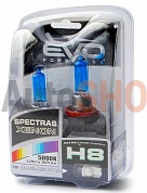 Газонаполненные лампы EVO "Spectras"/5000K/75W/H8 комплект 2+2(T-10) шт